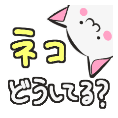 ネコどうしてる？