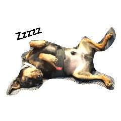 それいけルパンくん！