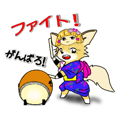 チワワのサクラちゃんの夏