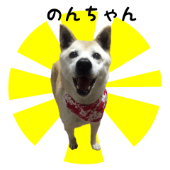 愛犬のんちゃんスタンプ