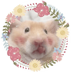 チュチュの スタンプ