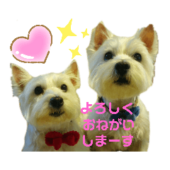 フロレベすたんぷ