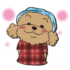 プードルのわっふる