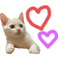 マロ氏スタンプ