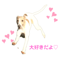 ウィペットのスタンプ♩