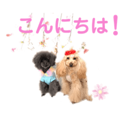 ライキとミロク