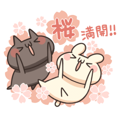 うさぎのしろとねこのくろ ぱーと12春!