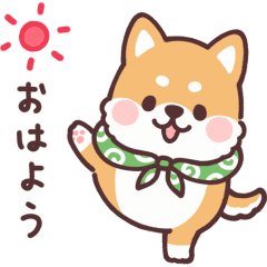 動く！ころころ柴犬
