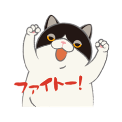 もちねこ　ねこ