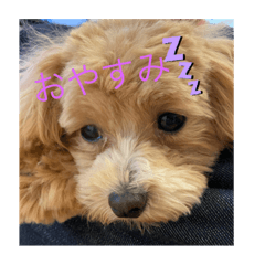 音叶ちゃんスタンプ