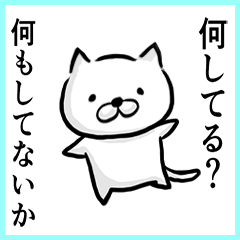 真・一言多いネコ。