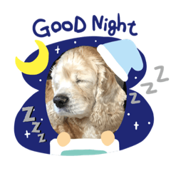 ティアラの日常˙ᴥ˙