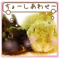 大好きうさぎさん優しいメッセージ