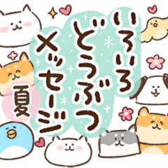 いろいろどうぶつメッセージ　夏