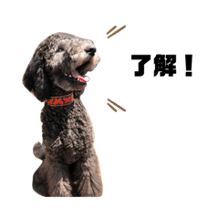 スタンプーぐり