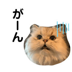 我が家のむーたん２