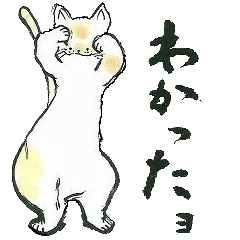 やわらねこ