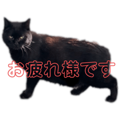 売上は100%君たちのご飯代だ！