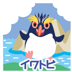 可愛くてカッコイイ！！イワトビペンギン