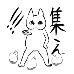 全然きもくないよ猫