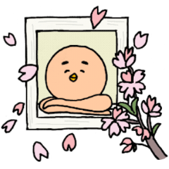 こどもキングペンギン　K.P　春ミックス