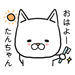 たんちゃん専用スタンプ（ねこ）