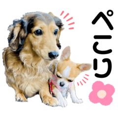 ケビンとマリリン♪