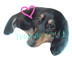 毎日使える！ラブのスタンプ