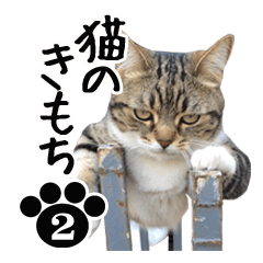 猫のきもち 2