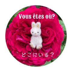 小さなうさぎと薔薇