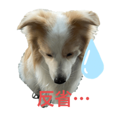 レッボー兄弟①