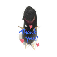 はやしさんちのこなす