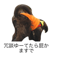 アメリカバイソンモドキ