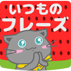 ネコに始まりRAYに終わる。6