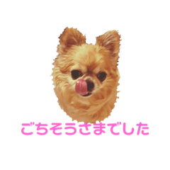 チワワが好きですスタンプ