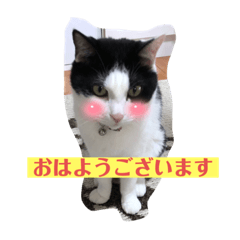 風花＆ちゃこ LINEスタンプ1