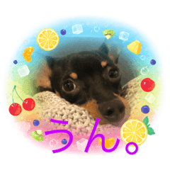 マックスとドゥークとディーバとビビ5