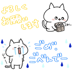 白にゃーの毎日省スペース