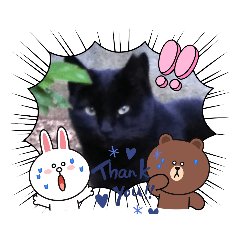 ひまわり&タンゴpart3