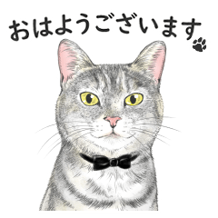 サバトラ猫の日常スタンプ