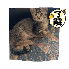 ふぅくんのイケメンなスタンプ