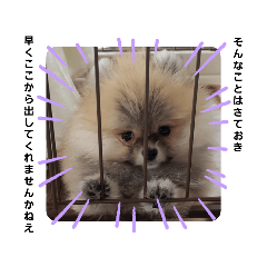 ふくまるくん②