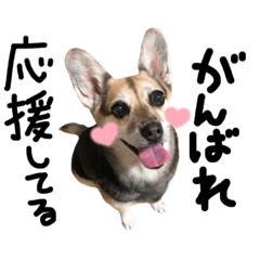 くりょたんしゅたんぷ2