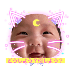 樋口家すたいる