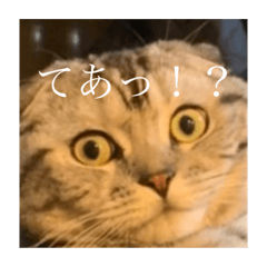 毎日思っている事。