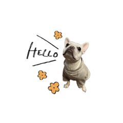 さくらとリリィstamp