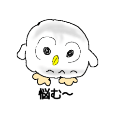 元気をくれる鳥たち５