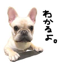 モモタロウです！！！！！3