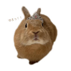 ぷぅたん〜日常編〜