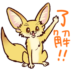 了解するフェネック